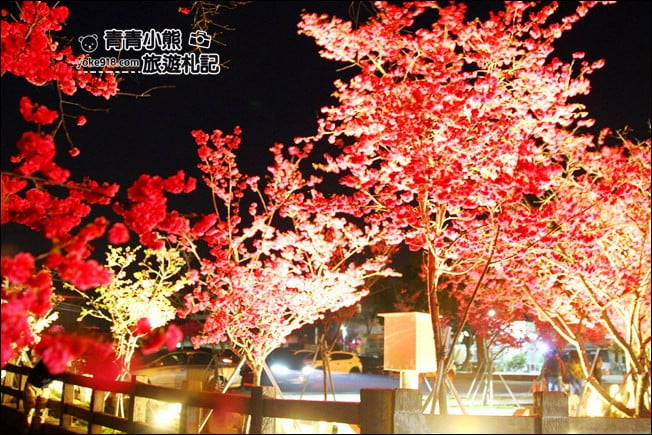 台中景點》泰安櫻花夜櫻．最美夜櫻免費看~愈夜愈美麗的泰安櫻花 @青青小熊＊旅遊札記