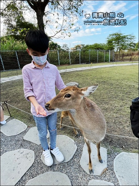 冬山景點二日遊》親子同遊推薦~走訪生態綠舟、餵小鹿、秘境河中步道,宜蘭好玩行程這裡玩 @青青小熊*旅遊札記 冬山景點二日遊》親子同遊推薦~走訪生態綠舟、餵小鹿、秘境河中步道,宜蘭好玩行程這裡玩 @青青小熊*旅遊札記