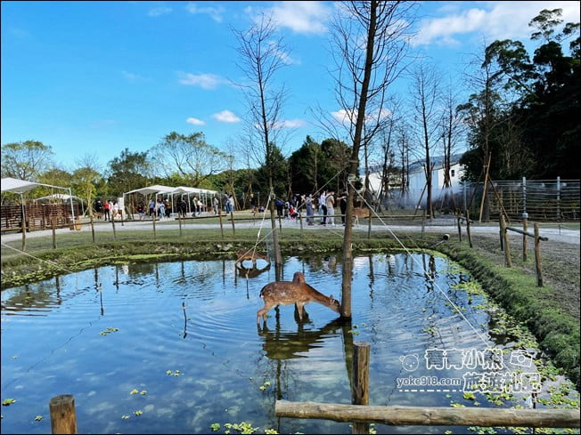 宜蘭景點》斑比山丘．住著好多小鹿~可愛又有趣的小鹿主題園區 @青青小熊＊旅遊札記