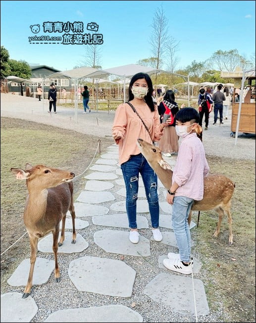 宜蘭景點》斑比山丘．住著好多小鹿~可愛又有趣的小鹿主題園區 @青青小熊＊旅遊札記