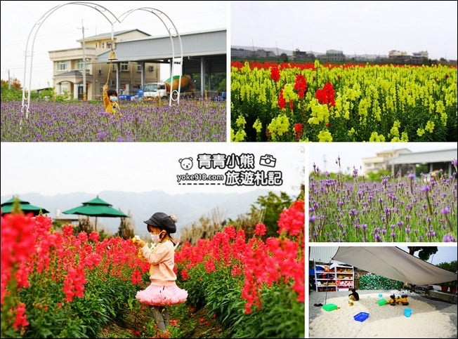 彰化新景點》社頭之美園藝.銅版價親子景點,賞花、遊戲區,一次玩 @青青小熊*旅遊札記 彰化新景點》社頭之美園藝.銅版價親子景點,賞花、遊戲區,一次玩 @青青小熊*旅遊札記