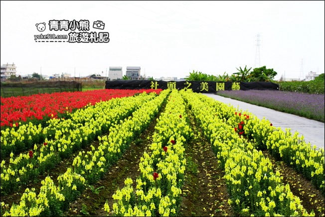 彰化新景點》社頭之美園藝.銅版價親子景點,賞花、遊戲區,一次玩 @青青小熊*旅遊札記 彰化新景點》社頭之美園藝.銅版價親子景點,賞花、遊戲區,一次玩 @青青小熊*旅遊札記