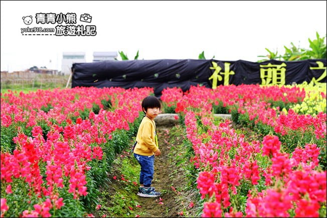 彰化新景點》社頭之美園藝.銅版價親子景點,賞花、遊戲區,一次玩 @青青小熊*旅遊札記 彰化新景點》社頭之美園藝.銅版價親子景點,賞花、遊戲區,一次玩 @青青小熊*旅遊札記