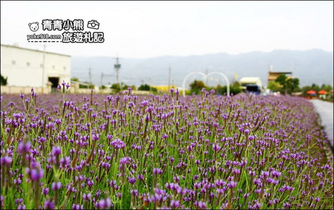 彰化新景點》社頭之美園藝.銅版價親子景點,賞花、遊戲區,一次玩 @青青小熊*旅遊札記 彰化新景點》社頭之美園藝.銅版價親子景點,賞花、遊戲區,一次玩 @青青小熊*旅遊札記