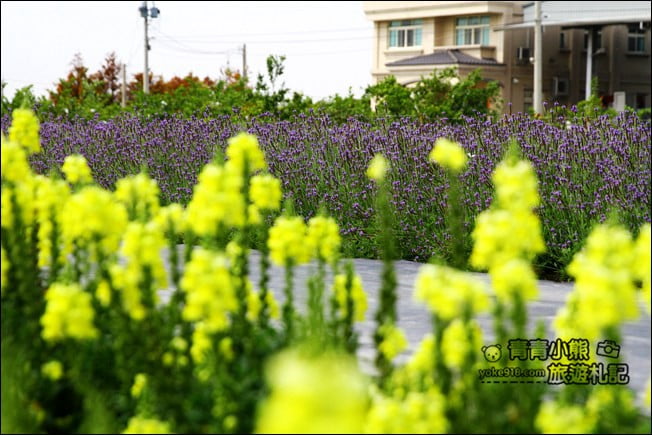 彰化新景點》社頭之美園藝．銅版價親子景點，賞花、遊戲區，一次玩 @青青小熊＊旅遊札記