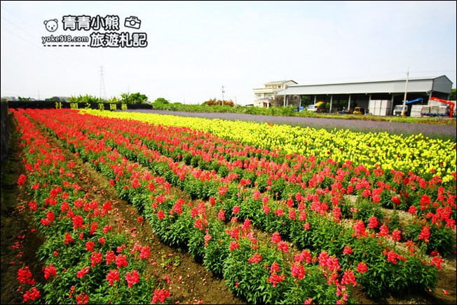 彰化新景點》社頭之美園藝.銅版價親子景點,賞花、遊戲區,一次玩 @青青小熊*旅遊札記 彰化新景點》社頭之美園藝.銅版價親子景點,賞花、遊戲區,一次玩 @青青小熊*旅遊札記