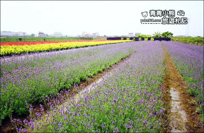 彰化新景點》社頭之美園藝.銅版價親子景點,賞花、遊戲區,一次玩 @青青小熊*旅遊札記 彰化新景點》社頭之美園藝.銅版價親子景點,賞花、遊戲區,一次玩 @青青小熊*旅遊札記