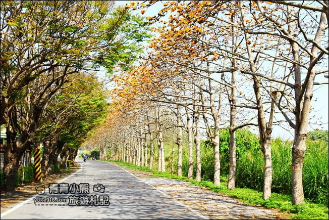 彰化賞花景點》二林東螺溪木棉道.預估三月底滿開~一起來彰化賞花 @青青小熊*旅遊札記 彰化賞花景點》二林東螺溪木棉道.預估三月底滿開~一起來彰化賞花 @青青小熊*旅遊札記