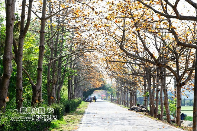 彰化賞花景點》二林東螺溪木棉道．預估三月底滿開~一起來彰化賞花 @青青小熊＊旅遊札記