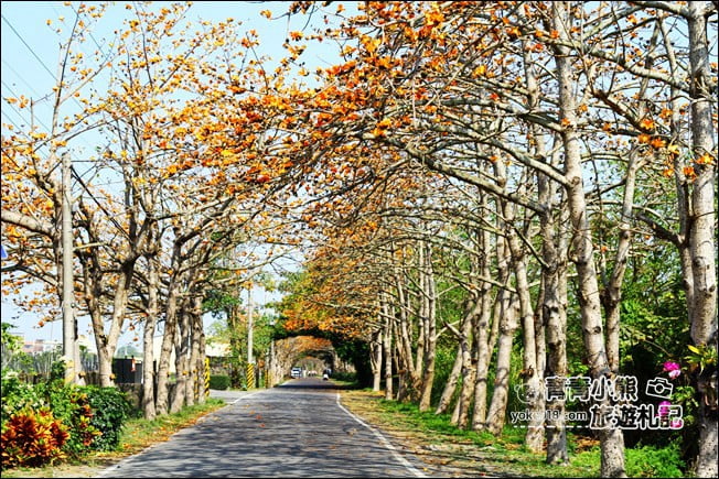 彰化賞花景點》二林東螺溪木棉道.預估三月底滿開~一起來彰化賞花 @青青小熊*旅遊札記 彰化賞花景點》二林東螺溪木棉道.預估三月底滿開~一起來彰化賞花 @青青小熊*旅遊札記