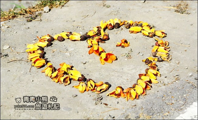 彰化賞花景點》二林東螺溪木棉道.預估三月底滿開~一起來彰化賞花 @青青小熊*旅遊札記 彰化賞花景點》二林東螺溪木棉道.預估三月底滿開~一起來彰化賞花 @青青小熊*旅遊札記