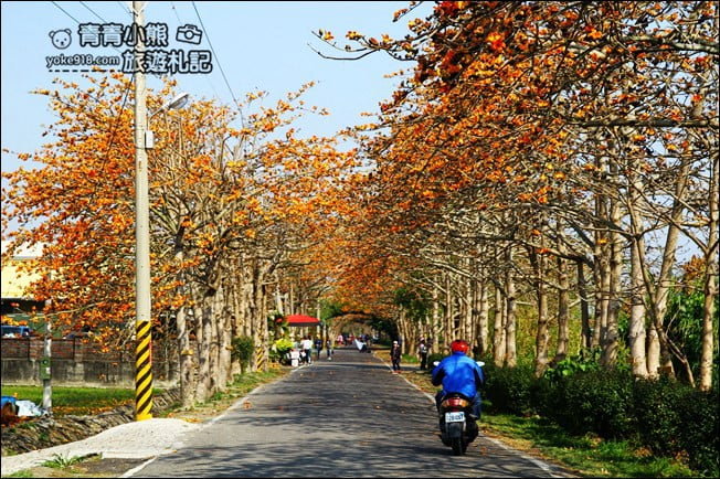彰化賞花景點》二林東螺溪木棉道．預估三月底滿開~一起來彰化賞花 @青青小熊＊旅遊札記