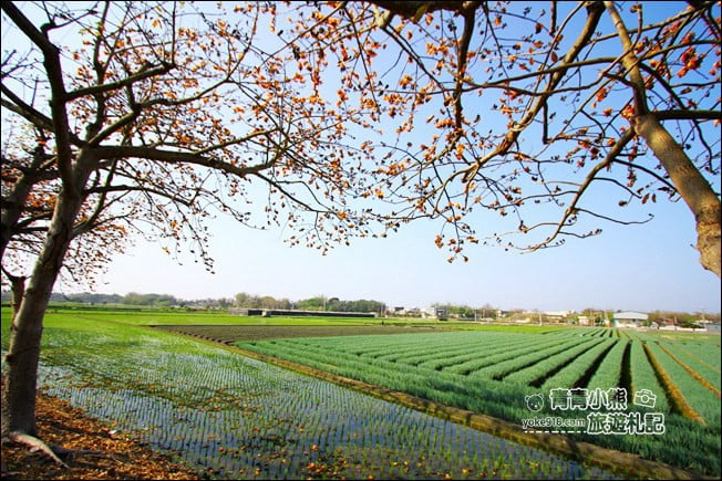 彰化賞花景點》二林東螺溪木棉道．預估三月底滿開~一起來彰化賞花 @青青小熊＊旅遊札記