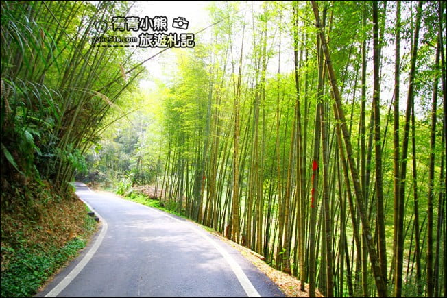 嘉義梅山景點》梅山一日遊怎麼玩？情侶.親子必玩景點~梅山路線行程推薦 @青青小熊＊旅遊札記