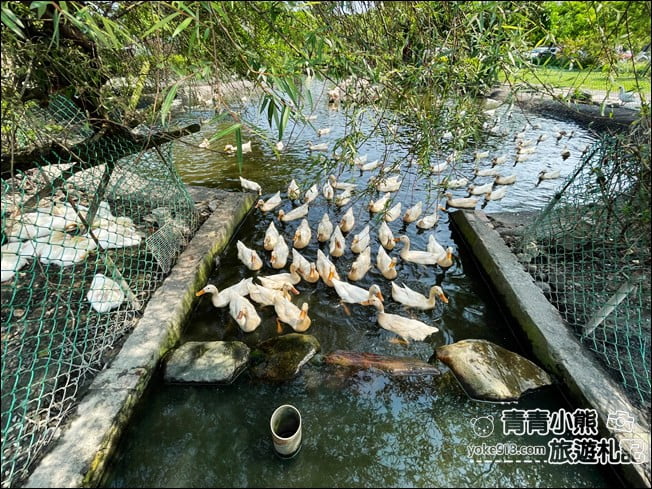 宜蘭景點》鴨寮故事館．來當鴨界山大王.批薩DIY, 好玩體驗館 @青青小熊＊旅遊札記