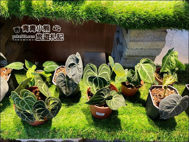 彰化景點》埔茂花市.免門票親子景點~逛園藝、還有沙坑.溜滑梯.DIY可以玩 @青青小熊*旅遊札記 彰化景點》埔茂花市.免門票親子景點~逛園藝、還有沙坑.溜滑梯.DIY可以玩 @青青小熊*旅遊札記