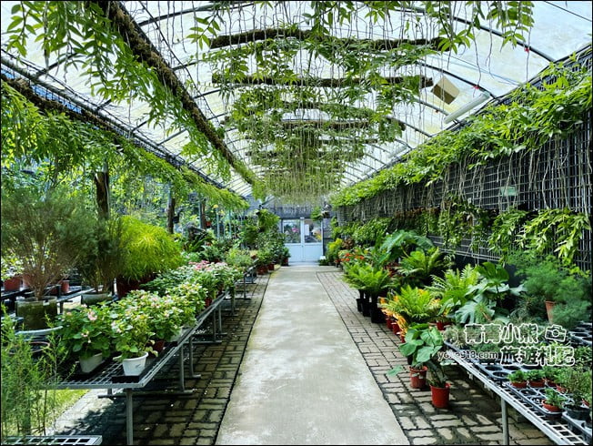 台中后里景點》萌芳花卉農場.粉嫩的石斛蘭綻放中~免費賞花景點推薦 @青青小熊*旅遊札記 台中后里景點》萌芳花卉農場.粉嫩的石斛蘭綻放中~免費賞花景點推薦 @青青小熊*旅遊札記