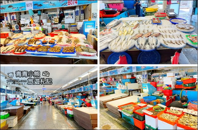 台中景點》梧棲漁港.必拍巨型海洋生物,逛新鮮漁獲吃美食 @青青小熊*旅遊札記 台中景點》梧棲漁港.必拍巨型海洋生物,逛新鮮漁獲吃美食 @青青小熊*旅遊札記
