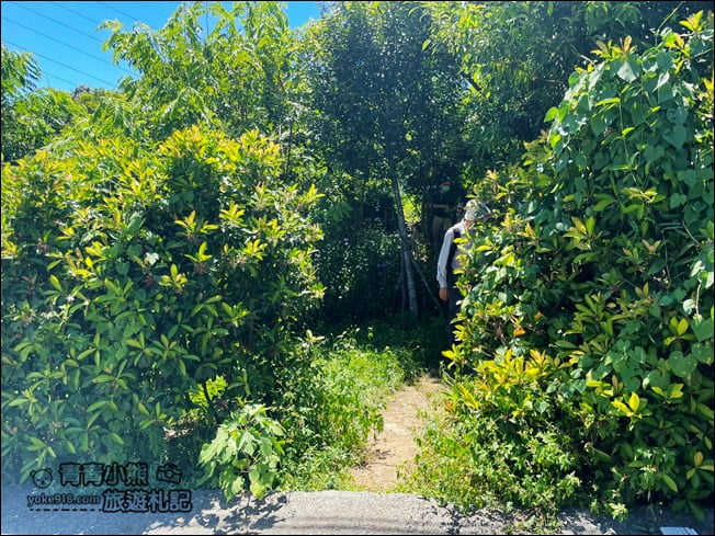 基隆景點》球子山燈塔.秘境賞景步道~走訪白色燈塔,360度欣賞海景 @青青小熊*旅遊札記 基隆景點》球子山燈塔.秘境賞景步道~走訪白色燈塔,360度欣賞海景 @青青小熊*旅遊札記