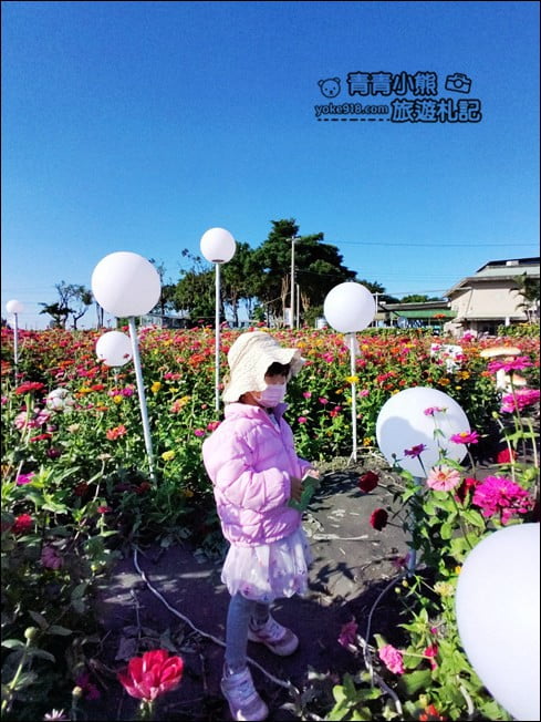 彰化田尾景點》田尾花海登場.五顏六色繽紛花海,搭配童趣造景超好拍 @青青小熊*旅遊札記 彰化田尾景點》田尾花海登場.五顏六色繽紛花海,搭配童趣造景超好拍 @青青小熊*旅遊札記