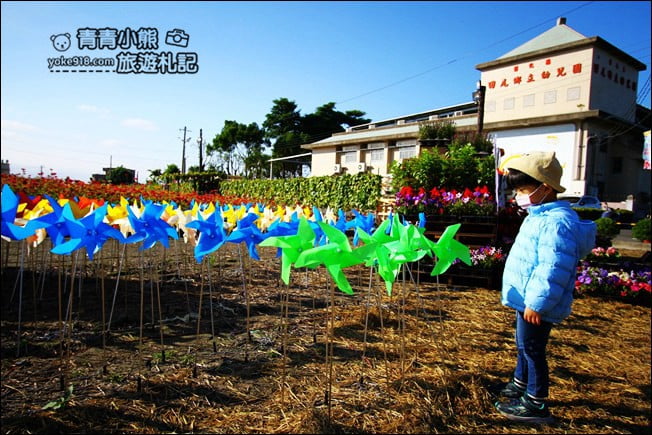 彰化田尾景點》田尾花海登場.五顏六色繽紛花海,搭配童趣造景超好拍 @青青小熊*旅遊札記 彰化田尾景點》田尾花海登場.五顏六色繽紛花海,搭配童趣造景超好拍 @青青小熊*旅遊札記