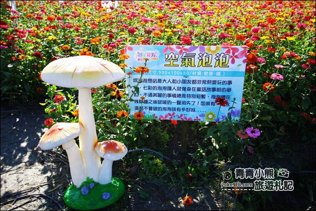 彰化田尾景點》田尾花海登場.五顏六色繽紛花海,搭配童趣造景超好拍 @青青小熊*旅遊札記 彰化田尾景點》田尾花海登場.五顏六色繽紛花海,搭配童趣造景超好拍 @青青小熊*旅遊札記