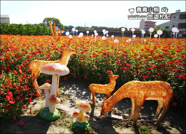 彰化田尾景點》田尾花海登場.五顏六色繽紛花海,搭配童趣造景超好拍 @青青小熊*旅遊札記 彰化田尾景點》田尾花海登場.五顏六色繽紛花海,搭配童趣造景超好拍 @青青小熊*旅遊札記