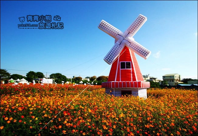 彰化田尾景點》田尾花海登場.五顏六色繽紛花海,搭配童趣造景超好拍 @青青小熊*旅遊札記 彰化田尾景點》田尾花海登場.五顏六色繽紛花海,搭配童趣造景超好拍 @青青小熊*旅遊札記