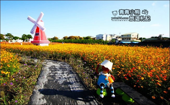 彰化田尾景點》田尾花海登場.五顏六色繽紛花海,搭配童趣造景超好拍 @青青小熊*旅遊札記 彰化田尾景點》田尾花海登場.五顏六色繽紛花海,搭配童趣造景超好拍 @青青小熊*旅遊札記