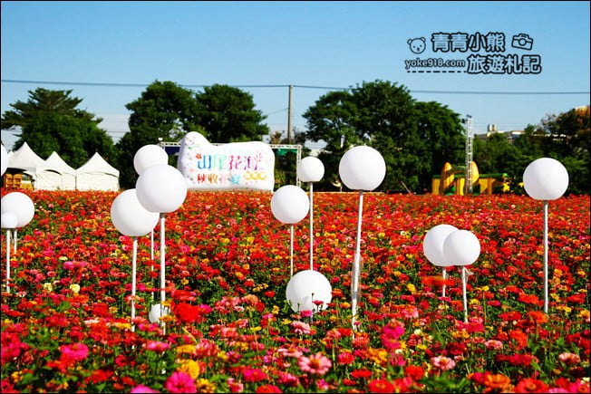 彰化田尾景點》田尾花海登場.五顏六色繽紛花海,搭配童趣造景超好拍 @青青小熊*旅遊札記 彰化田尾景點》田尾花海登場.五顏六色繽紛花海,搭配童趣造景超好拍 @青青小熊*旅遊札記