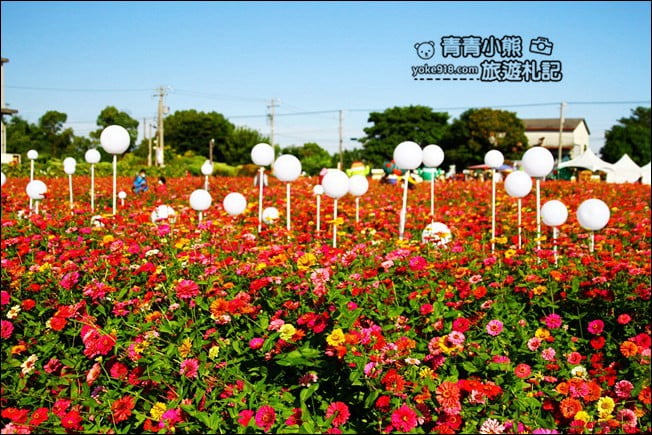 彰化田尾景點》田尾花海登場.五顏六色繽紛花海,搭配童趣造景超好拍 @青青小熊*旅遊札記 彰化田尾景點》田尾花海登場.五顏六色繽紛花海,搭配童趣造景超好拍 @青青小熊*旅遊札記
