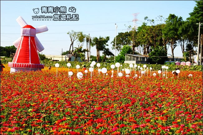 彰化田尾景點》田尾花海登場.五顏六色繽紛花海,搭配童趣造景超好拍 @青青小熊*旅遊札記 彰化田尾景點》田尾花海登場.五顏六色繽紛花海,搭配童趣造景超好拍 @青青小熊*旅遊札記