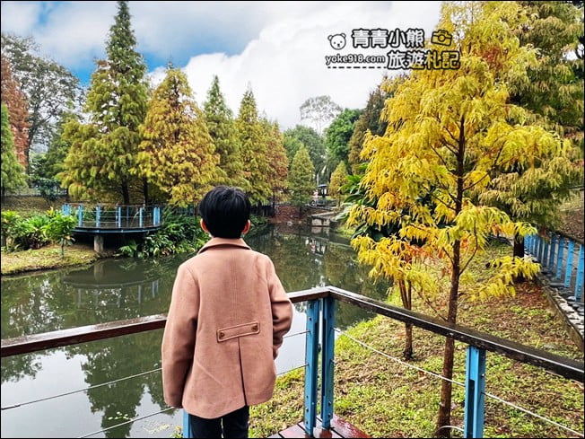 桃園景點》長庚養生村．落羽松湖畔散步去~水上平台木棧道好迷人 @青青小熊＊旅遊札記