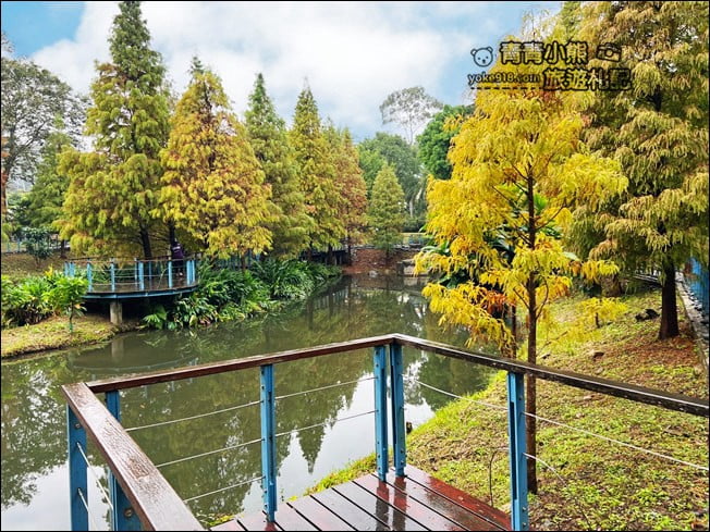 桃園景點》長庚養生村.落羽松湖畔散步去~水上平台木棧道好迷人 @青青小熊*旅遊札記 桃園景點》長庚養生村.落羽松湖畔散步去~水上平台木棧道好迷人 @青青小熊*旅遊札記