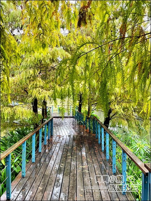桃園景點》長庚養生村.落羽松湖畔散步去~水上平台木棧道好迷人 @青青小熊*旅遊札記 桃園景點》長庚養生村.落羽松湖畔散步去~水上平台木棧道好迷人 @青青小熊*旅遊札記