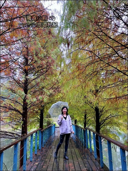 桃園景點》長庚養生村.落羽松湖畔散步去~水上平台木棧道好迷人 @青青小熊*旅遊札記 桃園景點》長庚養生村.落羽松湖畔散步去~水上平台木棧道好迷人 @青青小熊*旅遊札記