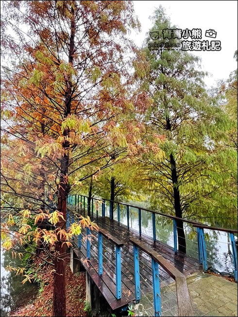 桃園景點》長庚養生村.落羽松湖畔散步去~水上平台木棧道好迷人 @青青小熊*旅遊札記 桃園景點》長庚養生村.落羽松湖畔散步去~水上平台木棧道好迷人 @青青小熊*旅遊札記
