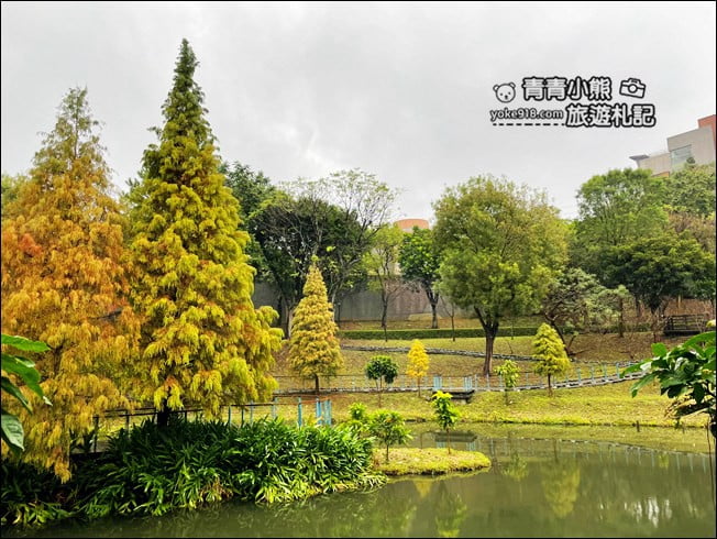 桃園景點》長庚養生村．落羽松湖畔散步去~水上平台木棧道好迷人 @青青小熊＊旅遊札記