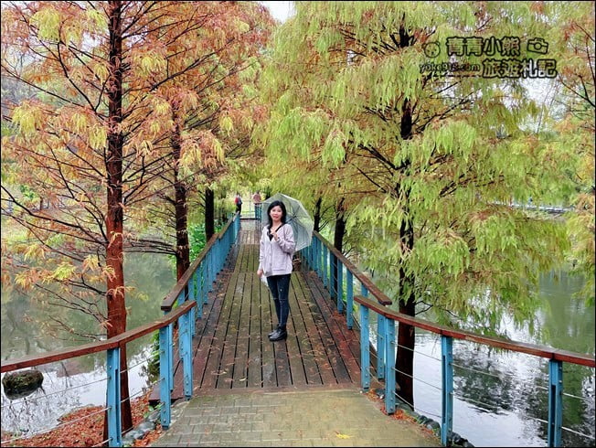 桃園景點》長庚養生村.落羽松湖畔散步去~水上平台木棧道好迷人 @青青小熊*旅遊札記 桃園景點》長庚養生村.落羽松湖畔散步去~水上平台木棧道好迷人 @青青小熊*旅遊札記