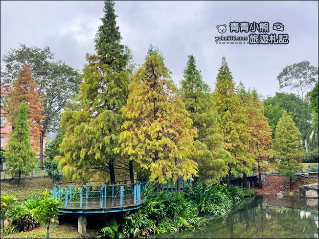 桃園景點》長庚養生村.落羽松湖畔散步去~水上平台木棧道好迷人 @青青小熊*旅遊札記 桃園景點》長庚養生村.落羽松湖畔散步去~水上平台木棧道好迷人 @青青小熊*旅遊札記