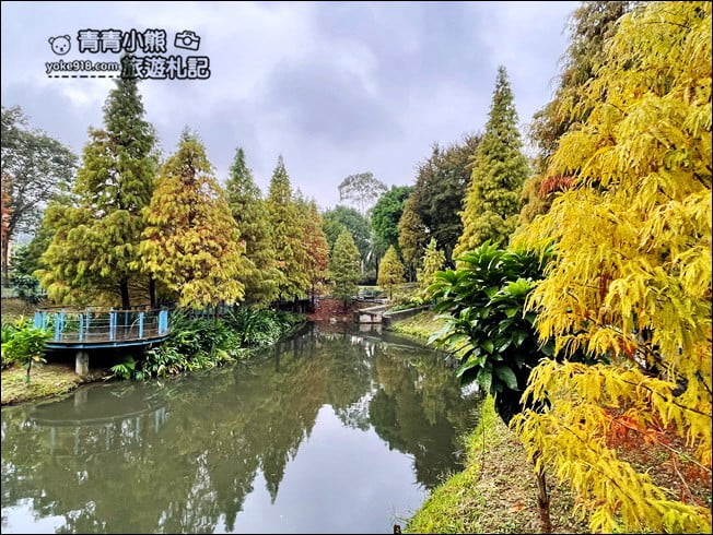 桃園景點》長庚養生村．落羽松湖畔散步去~水上平台木棧道好迷人 @青青小熊＊旅遊札記