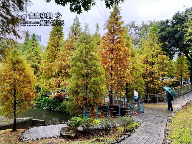 桃園景點》長庚養生村．落羽松湖畔散步去~水上平台木棧道好迷人 @青青小熊＊旅遊札記