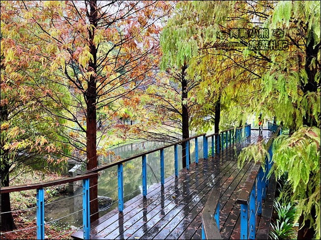 桃園景點》長庚養生村.落羽松湖畔散步去~水上平台木棧道好迷人 @青青小熊*旅遊札記 桃園景點》長庚養生村.落羽松湖畔散步去~水上平台木棧道好迷人 @青青小熊*旅遊札記