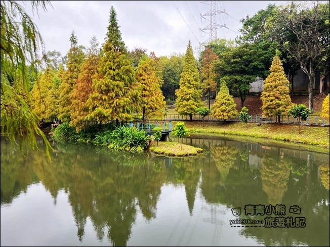 桃園景點》長庚養生村.落羽松湖畔散步去~水上平台木棧道好迷人 @青青小熊*旅遊札記 桃園景點》長庚養生村.落羽松湖畔散步去~水上平台木棧道好迷人 @青青小熊*旅遊札記