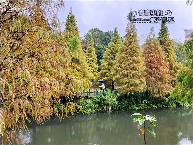 桃園景點》長庚養生村.落羽松湖畔散步去~水上平台木棧道好迷人 @青青小熊*旅遊札記 桃園景點》長庚養生村.落羽松湖畔散步去~水上平台木棧道好迷人 @青青小熊*旅遊札記