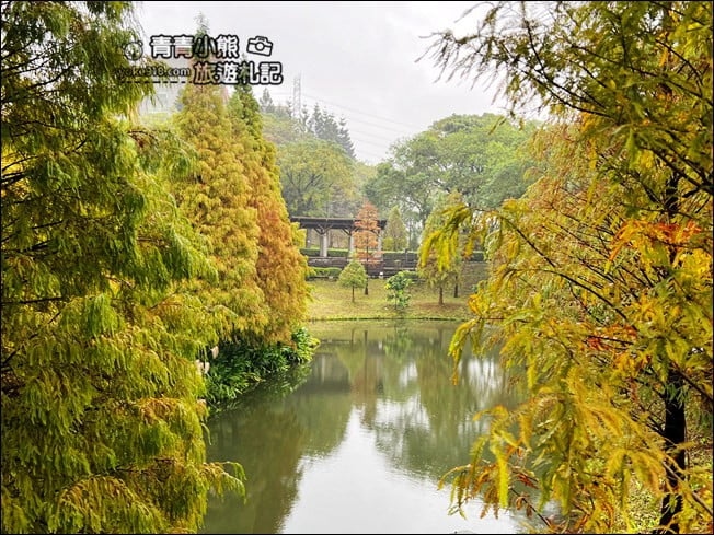 桃園景點》長庚養生村.落羽松湖畔散步去~水上平台木棧道好迷人 @青青小熊*旅遊札記 桃園景點》長庚養生村.落羽松湖畔散步去~水上平台木棧道好迷人 @青青小熊*旅遊札記