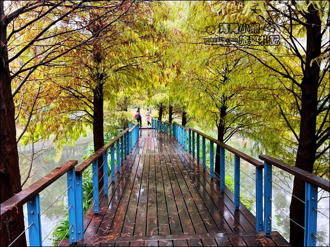 桃園景點》長庚養生村.落羽松湖畔散步去~水上平台木棧道好迷人 @青青小熊*旅遊札記 桃園景點》長庚養生村.落羽松湖畔散步去~水上平台木棧道好迷人 @青青小熊*旅遊札記
