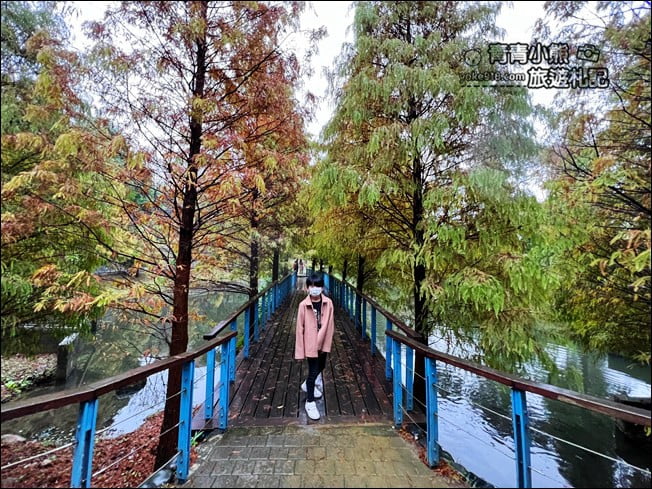 桃園景點》長庚養生村．落羽松湖畔散步去~水上平台木棧道好迷人 @青青小熊＊旅遊札記