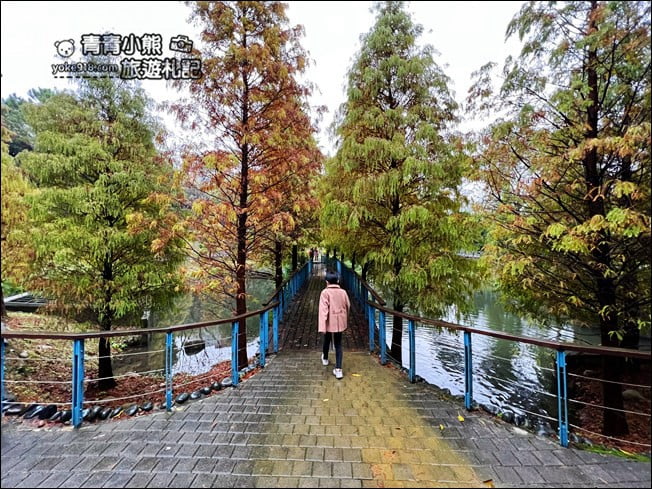 桃園景點》長庚養生村.落羽松湖畔散步去~水上平台木棧道好迷人 @青青小熊*旅遊札記 桃園景點》長庚養生村.落羽松湖畔散步去~水上平台木棧道好迷人 @青青小熊*旅遊札記