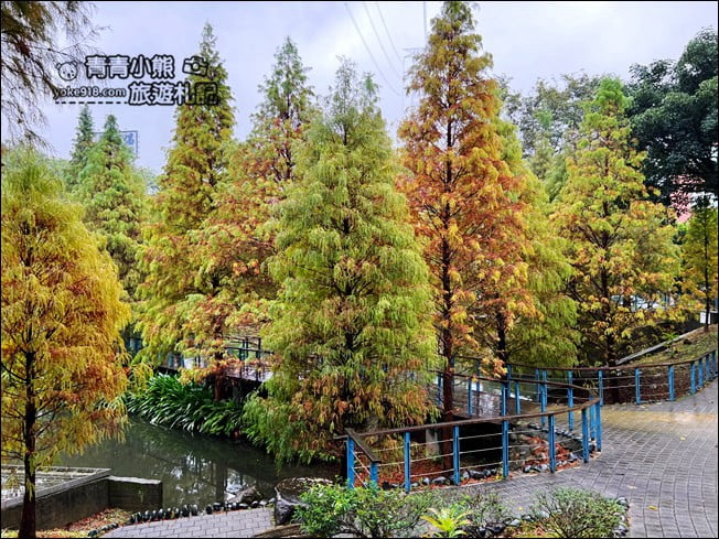 桃園景點》長庚養生村.落羽松湖畔散步去~水上平台木棧道好迷人 @青青小熊*旅遊札記 桃園景點》長庚養生村.落羽松湖畔散步去~水上平台木棧道好迷人 @青青小熊*旅遊札記